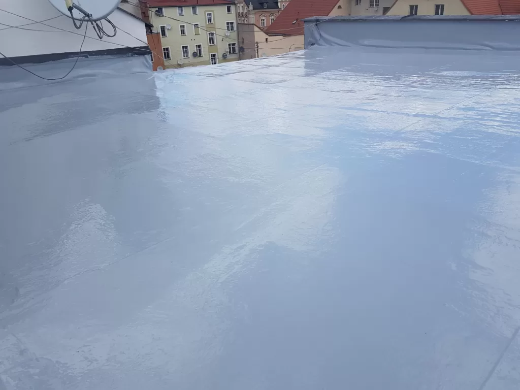 Hyperdesmo żywica na dachu